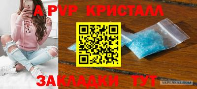 СК Обнинск