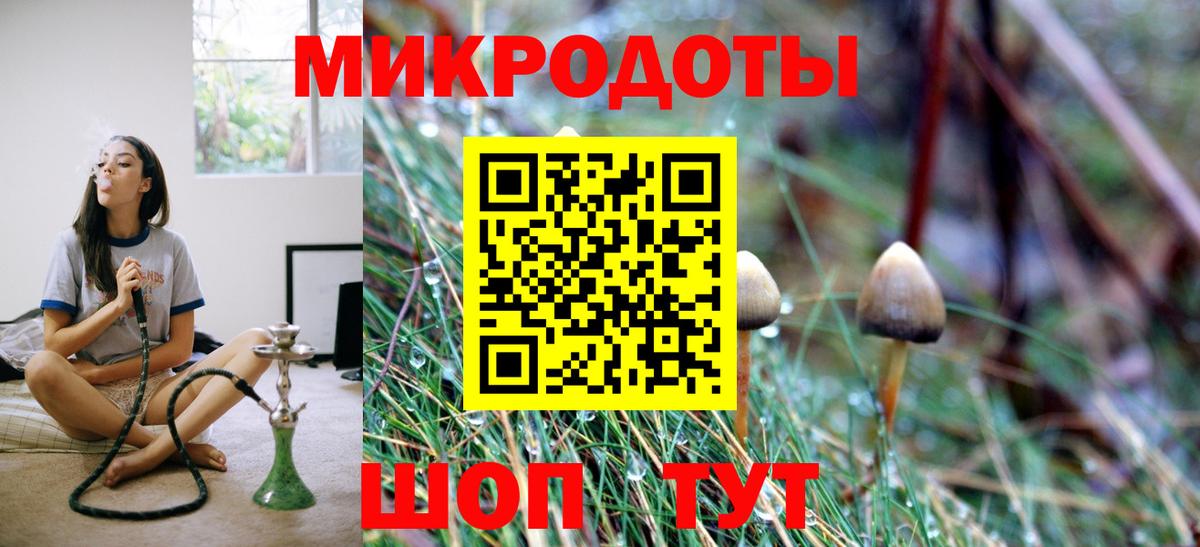 Псилоцибиновые грибы мухоморы Светлоград